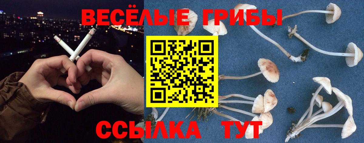 наркотики  Вход с VPN  Лыткарино  Псилоцибиновые грибы Magic Shrooms 