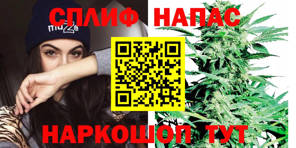 Конопля гибрид Лыткарино